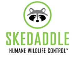 Skedaddle- humane wildlife control