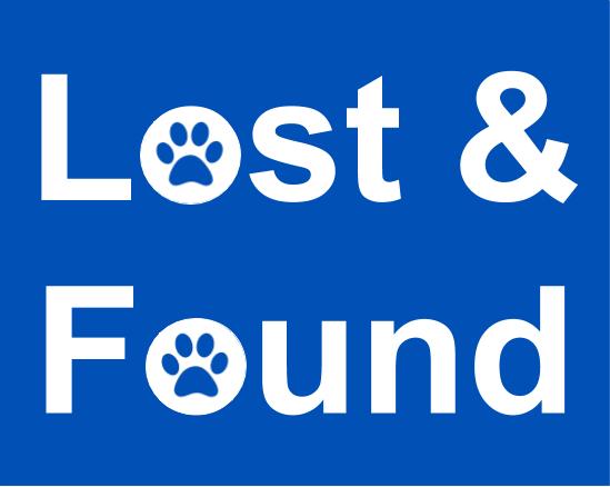 Lost & Found - Lost & Found
