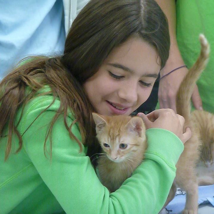 kid with kitten 1 97462fd6c89186b7d4fea2349ab1287e kid with kitten 1 97462fd6c89186b7d4fea2349ab1287e - Home