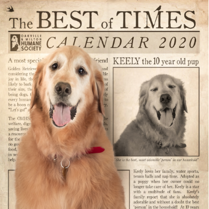 - 2020 Calendar Animal Stories