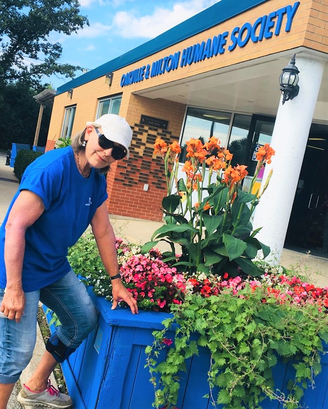 - OMHS Blooms! A Big Green Thumbs up to Susan Eglit