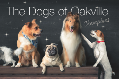 Dogs of Oakville – Champions