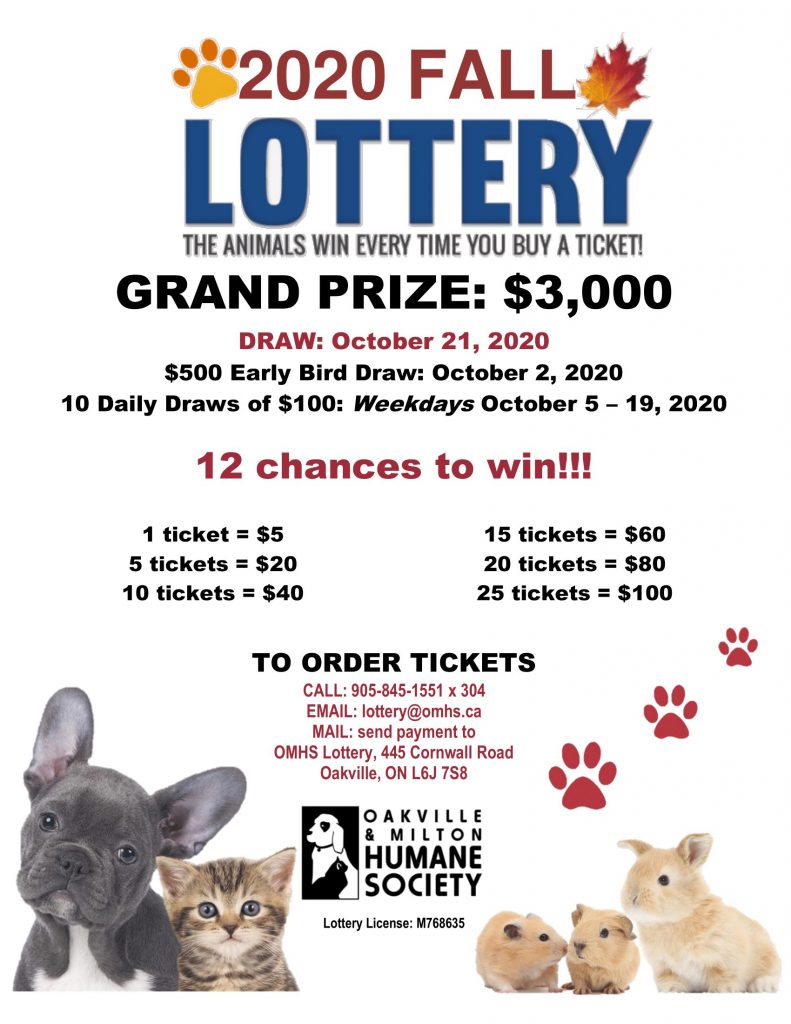 Fall Lottery Poster RD 1 2 791x1024 Fall Lottery Poster RD 1 2 791x1024 - Lottery