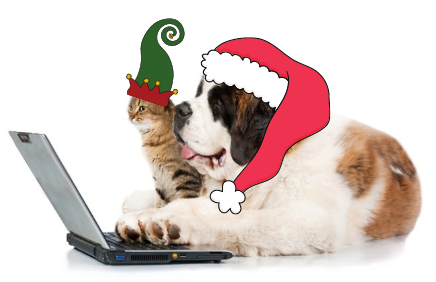Dog and cat with hats for Pet Pics Dog and cat with hats for Pet Pics - Online Holiday Auction - Coming Soon!