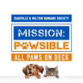 Facebook Profile Picture for Mission Pawsible
