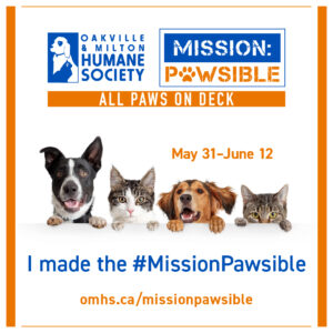 Mission Pawsible Instagram post sample