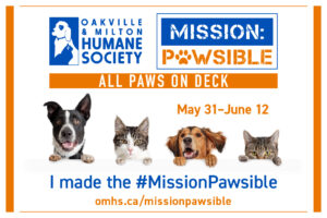 Mission Pawsible LinkedIn Post sample