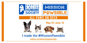 I made the Mission Pawsible Twitter Post Image