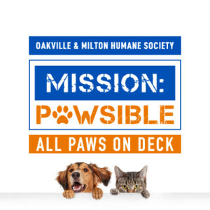 Mission Pawsible Twitter Cover Image
