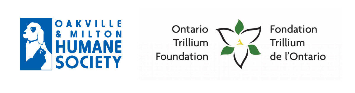 ontario trillium foundation business plan