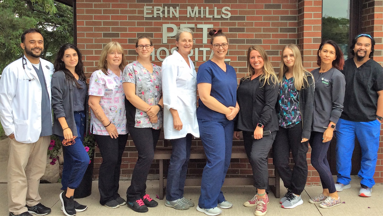 Erin Mills Pet Hospital team