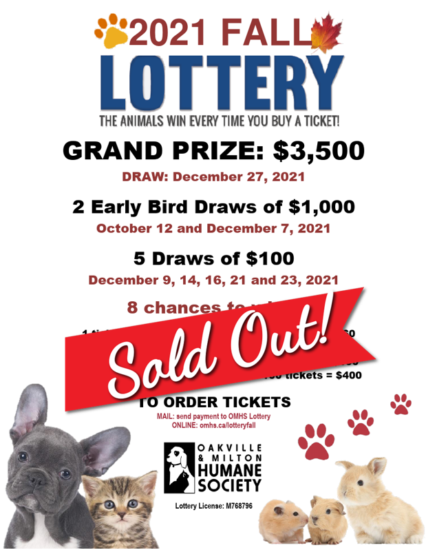 image 65 image 65 - Lottery