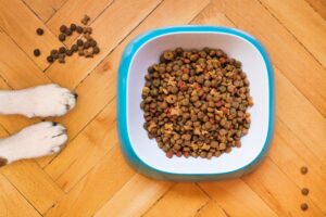 The OMHS Pet Food Bank - The OMHS Pet Food Bank