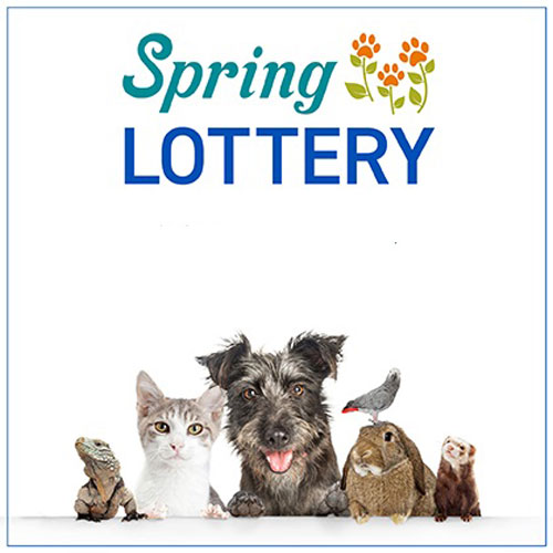 Spring 2023 Lottery