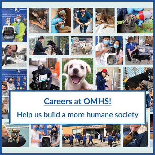 Home - Oakville & Milton Humane Society
