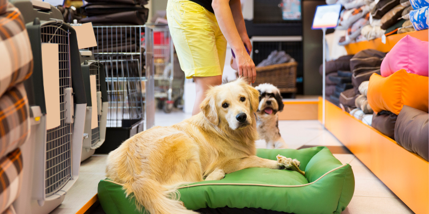 - Mission Pawsible: All Paws on Deck - Retail Challenge