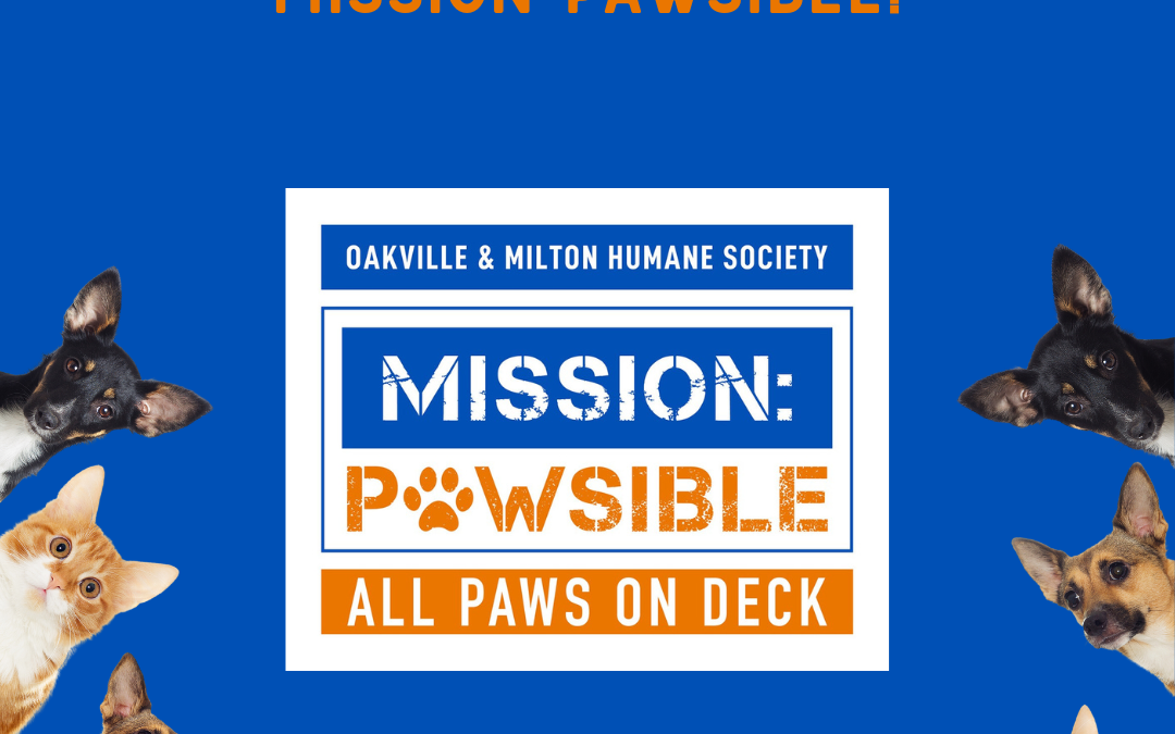 Mission Pawsible 2023: Thank You for Accepting Our Mission!