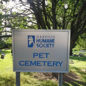 Preserving the memories: OMHS pet cemetery excavation - Preserving the memories: OMHS pet cemetery excavation