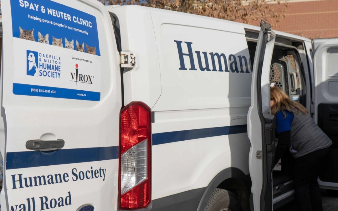 OMHS and Virox collaborate to provide access to spay and neuter at inaugural clinic