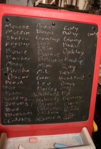 A black chalkboard with names of fostered animals written in three columns.