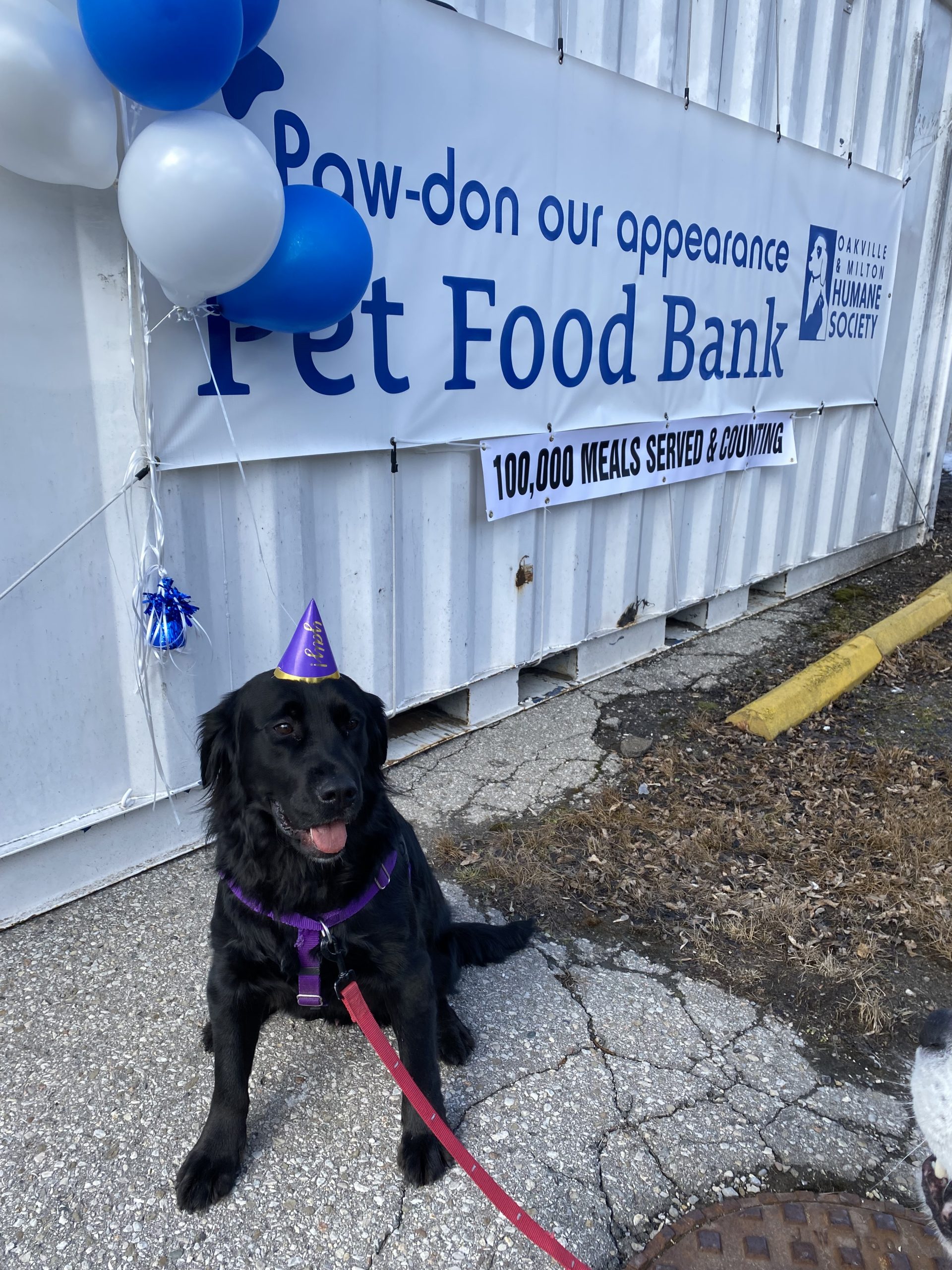 OMHS Pet Food Bank Anniversary (1)