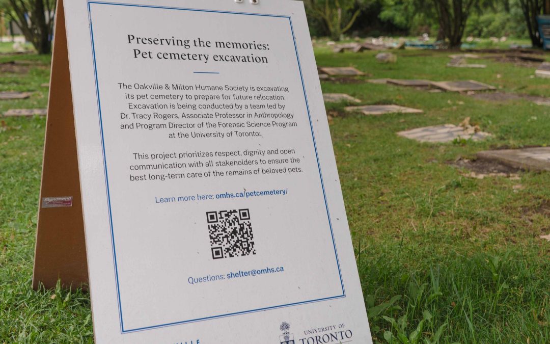 Unearthing compassion: OMHS pet cemetery excavation
