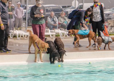 Doggie Dip - Doggie Dip