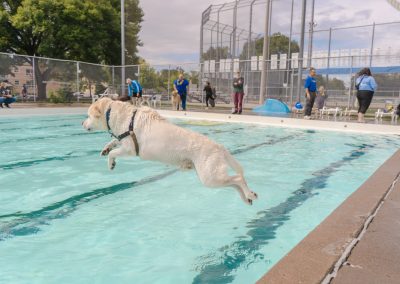 Doggie Dip - Doggie Dip