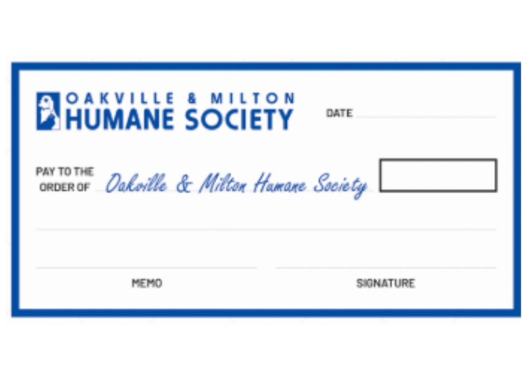 cheque cheque