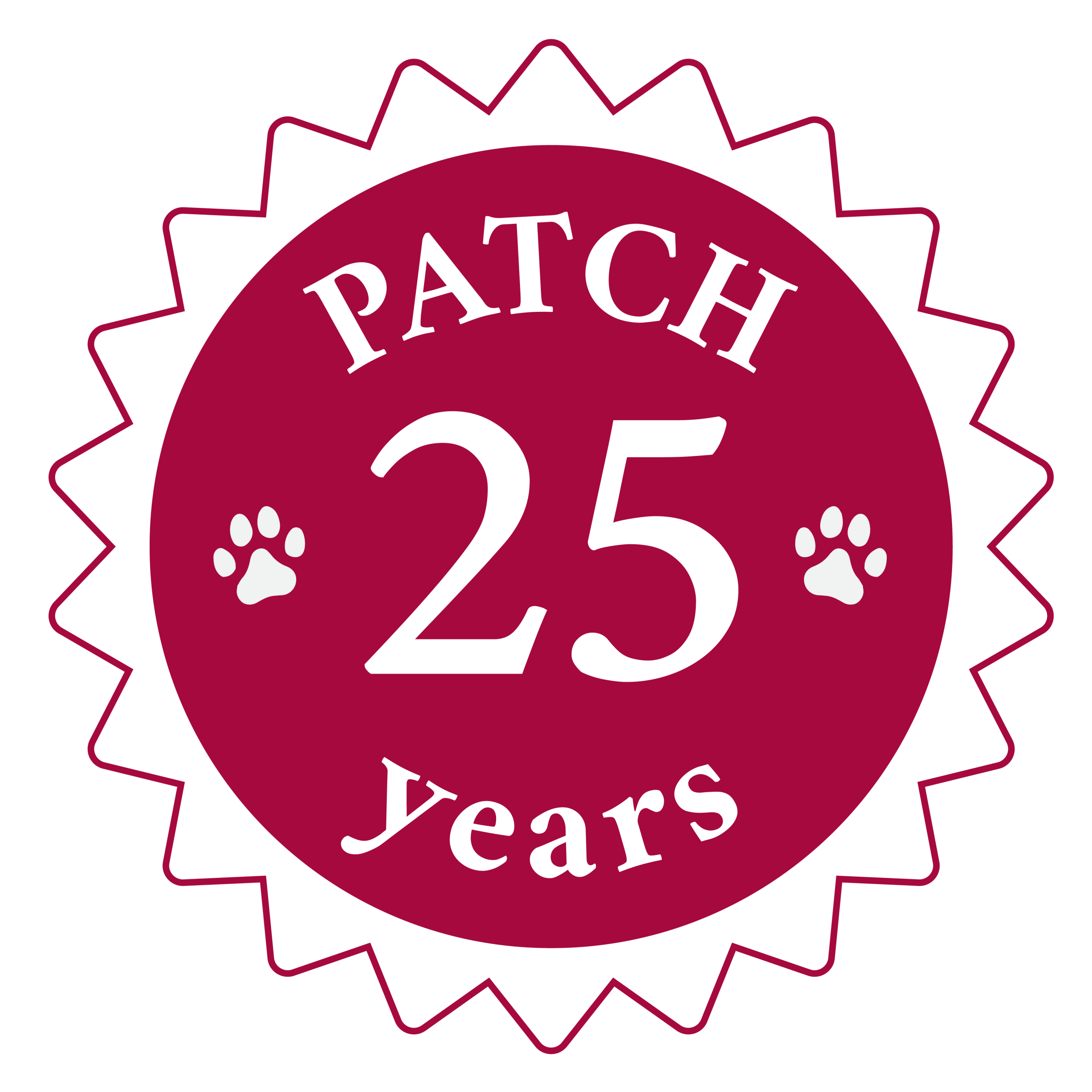 patch25-1_25years-red copy 4 patch25-1_25years-red copy 4