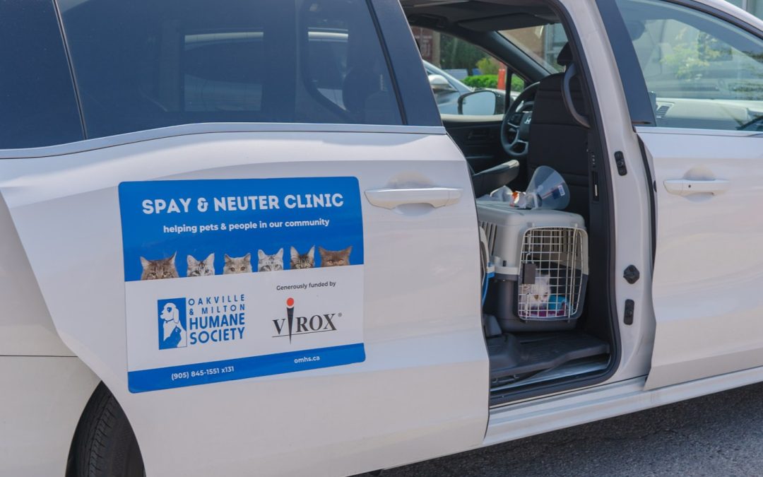 OMHS Holds Spay/Neuter Clinic Thanks to Virox Technologies OMHS Holds Spay/Neuter Clinic Thanks to Virox Technologies