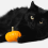 Keeping Pets Safe on Halloween